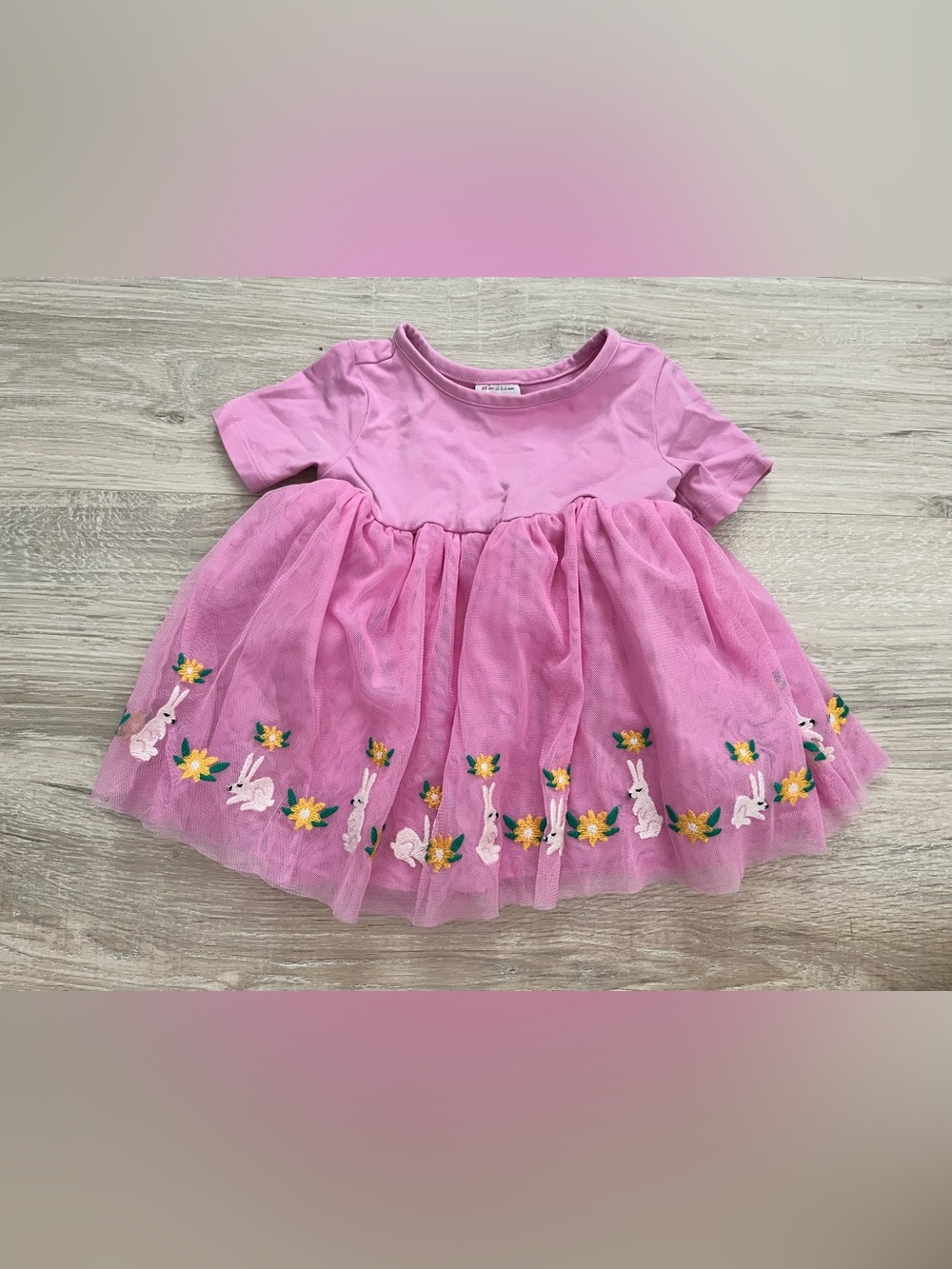 Hanna Andersson Baby Tulle Embroidered Skater Dress Pink Bunnies Flowers - 3-6m